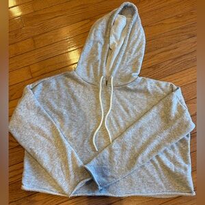 Aerie Gray Cropped Hoodie